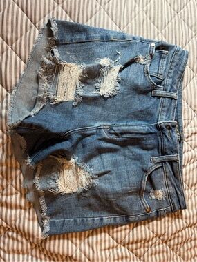Judy blue Distressed Blue Denim Cutoff Shorts- Large